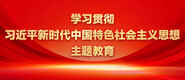 插插插大全学习贯彻习近平新时代中国特色社会主义思想主题教育_fororder_ad-371X160(2)